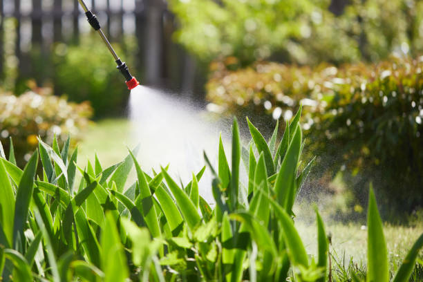 24/7 Emergency Mosquito Control experts in New Philadelphia, OH