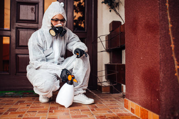 Reliable Mosquito Control contractor in New Philadelphia, OH by Show Me Pest Control