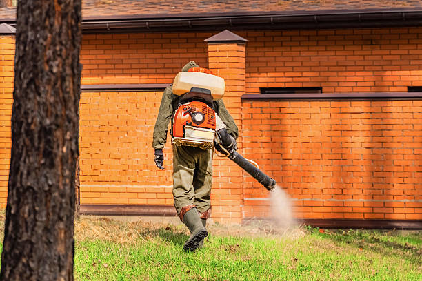 Top rated local Mosquito Control specialists in New Philadelphia, OH